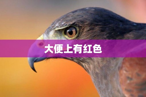 大便上有紅色