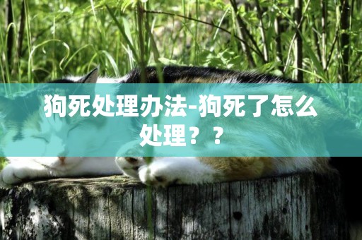 狗死處理辦法-狗死了怎么處理？？