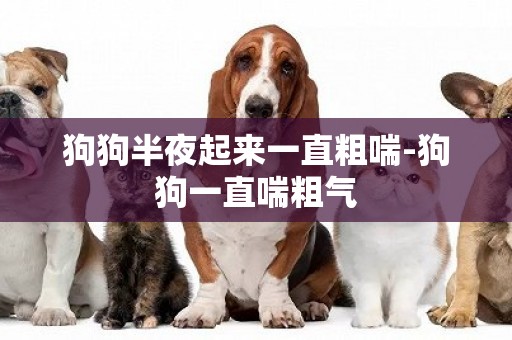 狗狗半夜起來一直粗喘-狗狗一直喘粗氣