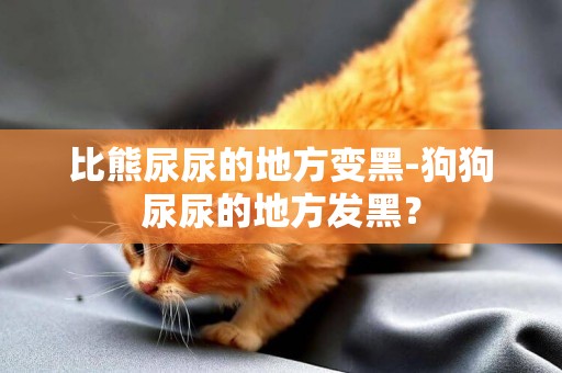比熊尿尿的地方變黑-狗狗尿尿的地方發黑？
