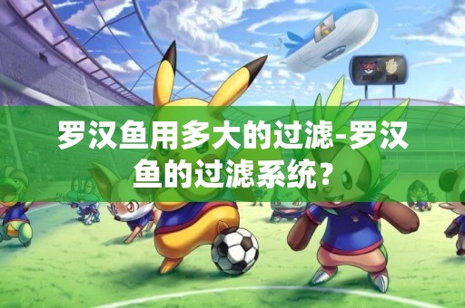 羅漢魚用多大的過濾-羅漢魚的過濾系統？