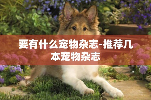 要有什么寵物雜志-推薦幾本寵物雜志