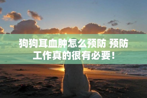 狗狗耳血腫怎么預防 預防工作真的很有必要！