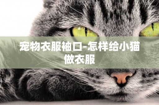 寵物衣服袖口-怎樣給小貓做衣服