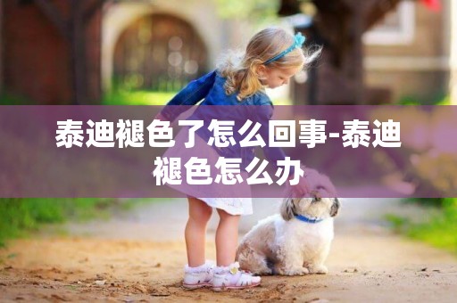 泰迪褪色了怎么回事-泰迪褪色怎么辦