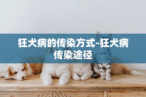 狂犬病的傳染方式-狂犬病傳染途徑