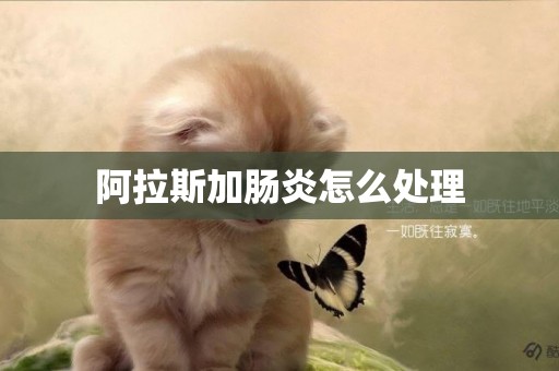 阿拉斯加腸炎怎么處理