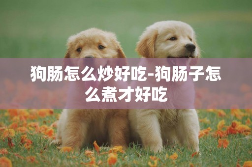 狗腸怎么炒好吃-狗腸子怎么煮才好吃