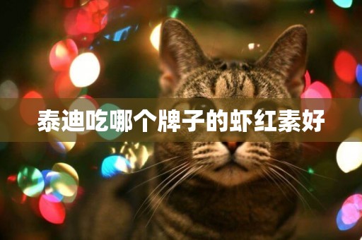 泰迪吃哪個牌子的蝦紅素好