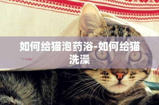 如何給貓泡藥浴-如何給貓洗澡