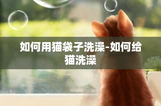 如何用貓袋子洗澡-如何給貓洗澡