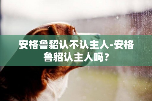 安格魯貂認不認主人-安格魯貂認主人嗎？