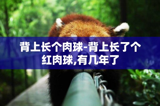 背上長個肉球-背上長了個紅肉球,有幾年了