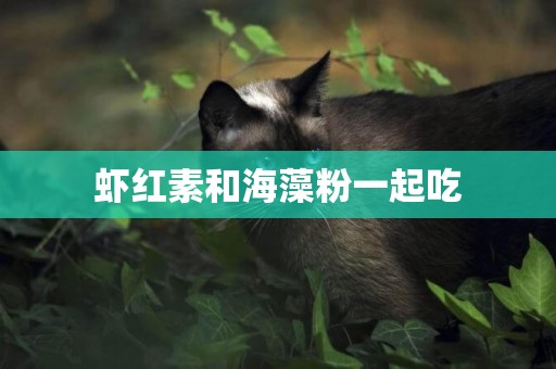 蝦紅素和海藻粉一起吃