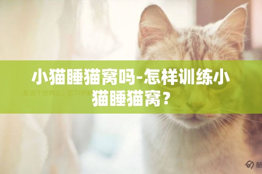 小貓睡貓窩嗎-怎樣訓練小貓睡貓窩？