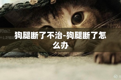 狗腿斷了不治-狗腿斷了怎么辦