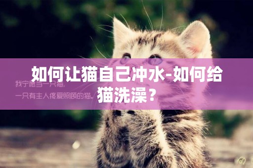 如何讓貓自己沖水-如何給貓洗澡？