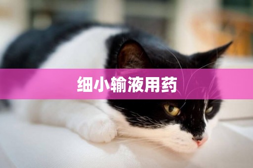 細小輸液用藥