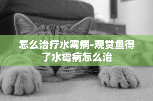 怎么治療水霉病-觀賞魚得了水霉病怎么治
