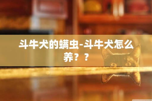 斗牛犬的螨蟲-斗牛犬怎么養？？