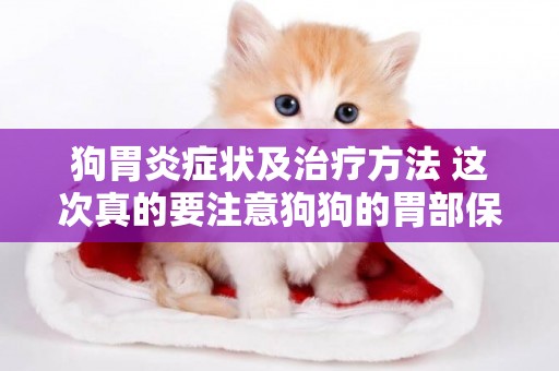 狗胃炎癥狀及治療方法 這次真的要注意狗狗的胃部保養了！