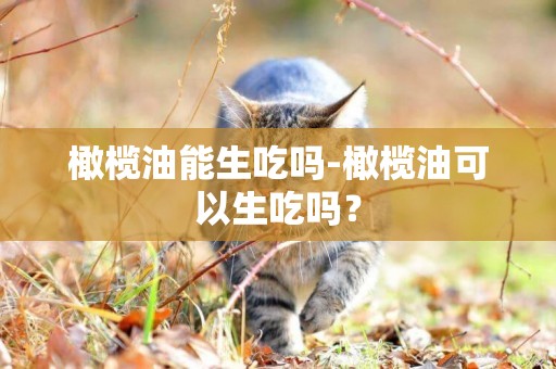 橄欖油能生吃嗎-橄欖油可以生吃嗎？