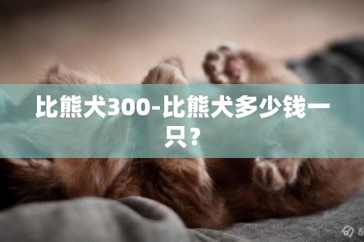 比熊犬300-比熊犬多少錢一只？