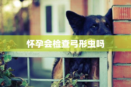 懷孕會檢查弓形蟲嗎