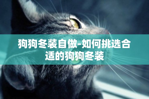 狗狗冬裝自做-如何挑選合適的狗狗冬裝