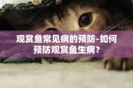 觀賞魚常見病的預防-如何預防觀賞魚生病？