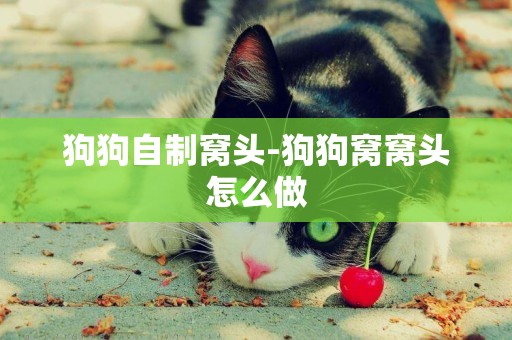狗狗自制窩頭-狗狗窩窩頭怎么做
