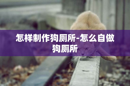 怎樣制作狗廁所-怎么自做狗廁所