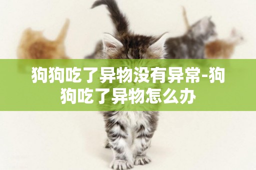 狗狗吃了異物沒有異常-狗狗吃了異物怎么辦