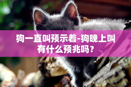 狗一直叫預示著-狗晚上叫有什么預兆嗎？