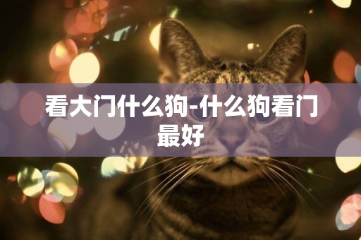 看大門什么狗-什么狗看門最好