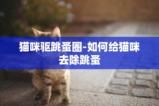 貓咪驅跳蚤圈-如何給貓咪去除跳蚤