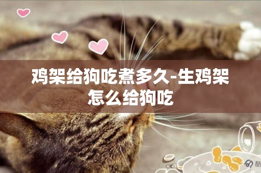 雞架給狗吃煮多久-生雞架怎么給狗吃