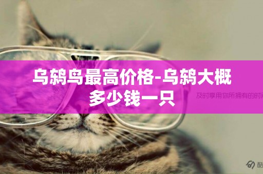 烏鶇鳥最高價格-烏鶇大概多少錢一只