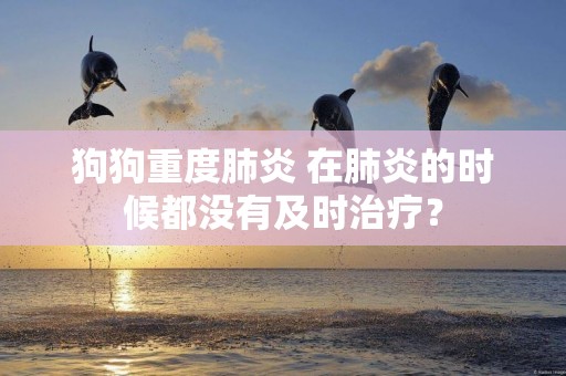 狗狗重度肺炎 在肺炎的時候都沒有及時治療？