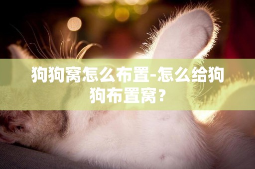 狗狗窩怎么布置-怎么給狗狗布置窩？