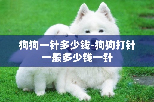狗狗一針多少錢-狗狗打針一般多少錢一針