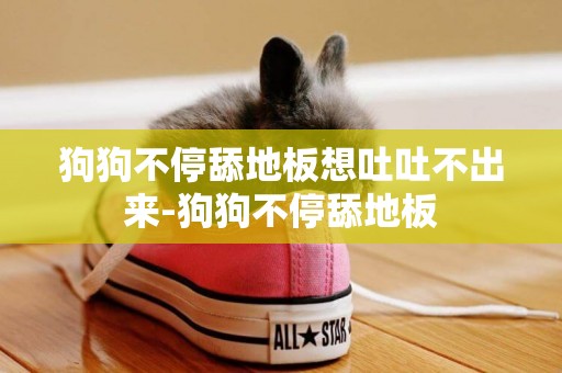 狗狗不停舔地板想吐吐不出來-狗狗不停舔地板