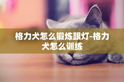 格力犬怎么鍛煉跟燈-格力犬怎么訓練