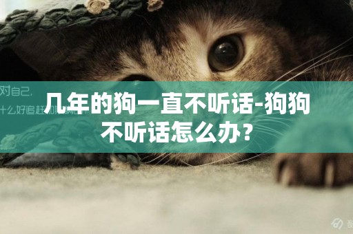 幾年的狗一直不聽話-狗狗不聽話怎么辦？