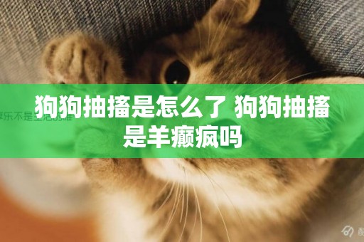 狗狗抽搐是怎么了 狗狗抽搐是羊癲瘋嗎 狗狗抽搐是怎么了 狗狗抽搐是羊癲瘋嗎