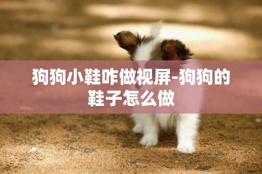 狗狗小鞋咋做視屏-狗狗的鞋子怎么做