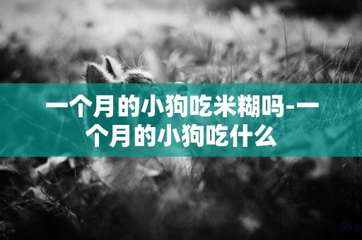 一個月的小狗吃米糊嗎-一個月的小狗吃什么