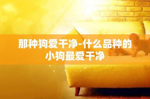 那種狗愛干凈-什么品種的小狗最愛干凈