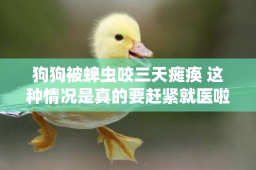 狗狗被蜱蟲咬三天癱瘓 這種情況是真的要趕緊就醫啦！