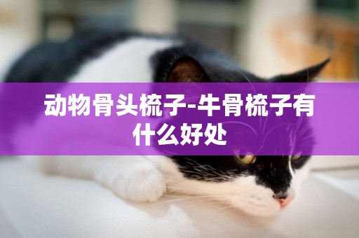 動物骨頭梳子-牛骨梳子有什么好處